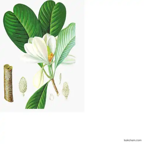 98%Honokiol Magnolia Bark Extract Extracted by Supercritical CO2(528-43-8)
