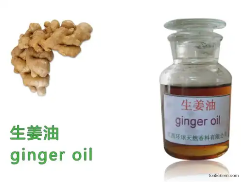 Pure Natural Ginger Oil,Spice oil,Food additive oil,CAS 8007-08-7(8007-08-7)