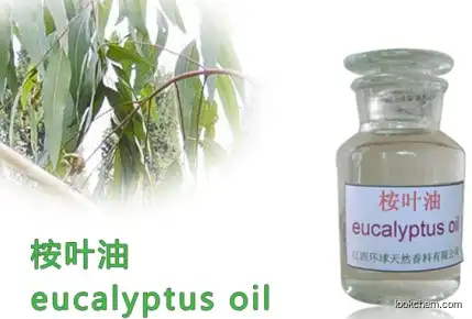 Natural Eucalyptus Oil,Plant Oil,Flavor Oil