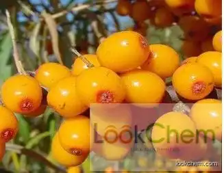 100% pure and natural seabuckthorn fruit oil()