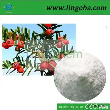 LGB manufacturer for 99% natural paclitaxel extract powder