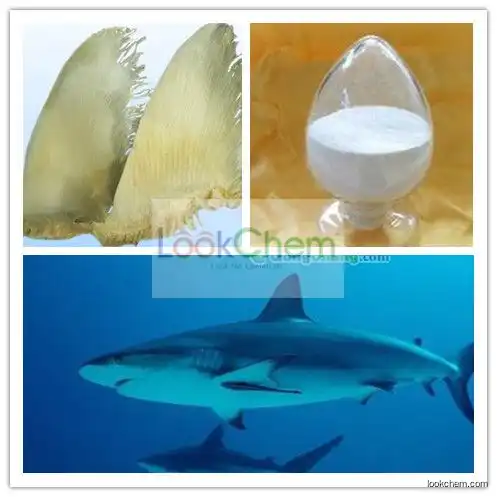 Chondroitin Sulfate Extracted from Shark cartilage(9007-28-7)