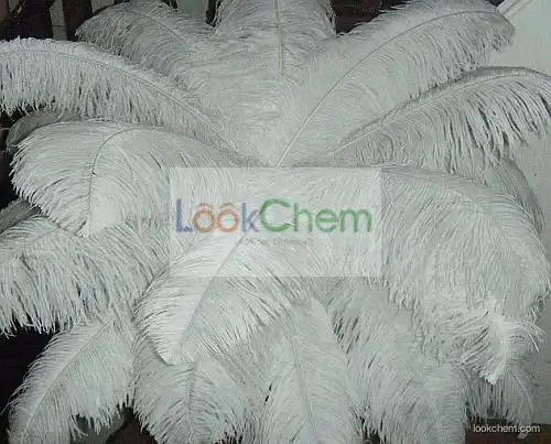 Ostrich Feather(1319-46-6)