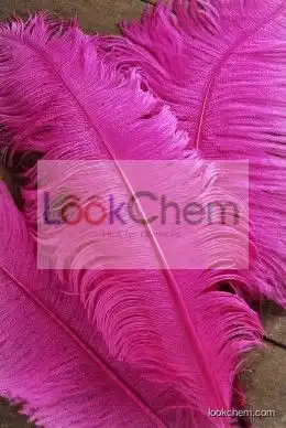 100% Pure Ostrich Feather