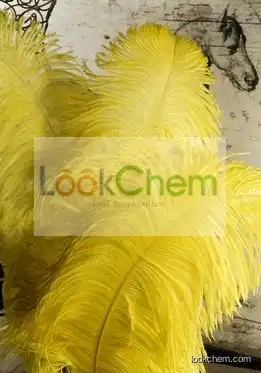 Natural Ostrich Feather