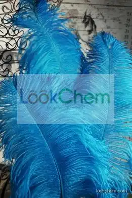 Natural Ostrich Feather
