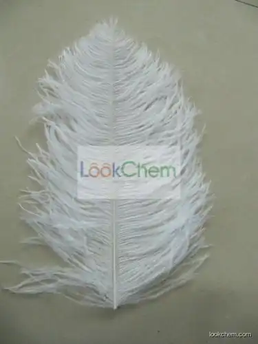 Natural Ostrich Feather