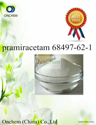 Hotsale 99%Pramiracetam for Anti-Alzheimer'drug
