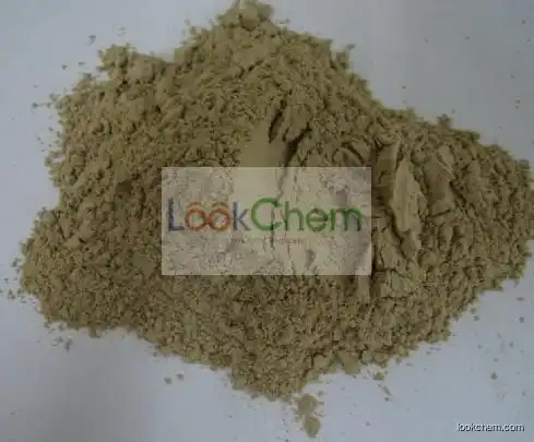 factory price ,gray powder, 89%  61790-53-2 Diatomaceous earth