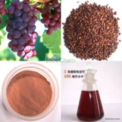 High quality Grape skin extract