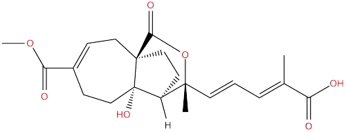 E-0704	Pseudolaric Acid C