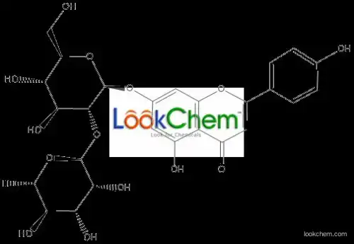 E-0519   Rhoifolin