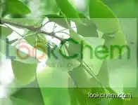 Ginkgo Biloba Extract