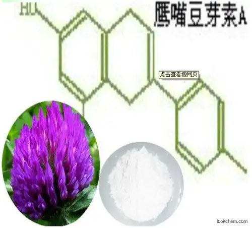 Biochanin A Red Clover Extract with top quality