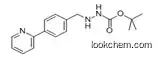 tert-Butyl2-(4-(pyridin-2-yl) benzyl)hydrazine carboxylate