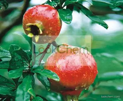 Pomegranate Skin extract Punicalagin 40%