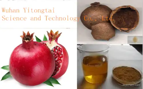 Anti-cancer Anti-oxidation 20% 30% 40% HPLC Brownish-red powder natural Punicalagin