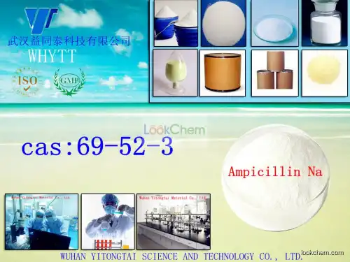 pharmeceutical raw material ampicillin powder cas:69-52-3 with high quality and purity