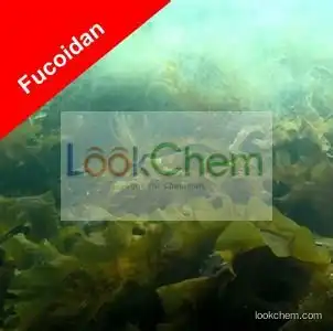 Fucoidan
