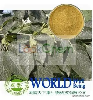 Eucommia Leaf Extract Eucommia 25% Chlorogenic Acid