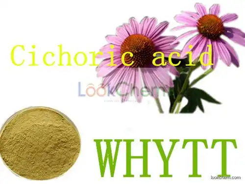 cichoric acid