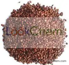 grape seed oil,grapeseed oil,plant base oil,carrier oil,CAS 8024-22-4