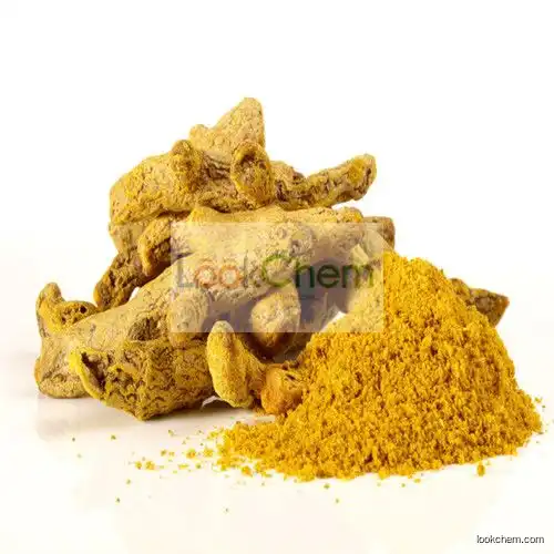 CURCUMIN (TURMERIC EXTRACT)