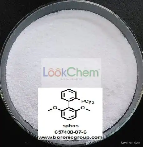 Manufacture High purity White powder 2-Dicyclohexylphosphino-2',6'-dimethoxybiphenyl(657408-07-6)
