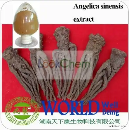 Angelica Sinensis Extract Ligustilide 1% 1.5%