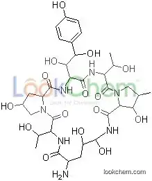 BECHINOCANDIN B