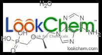 9-[(R)-2-(Phosphonomethoxy)propyl]adenine monohydrate