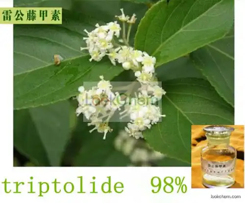 High quality pure natural 98% tripterygium wilfordii extract Triptolide powder CAS 38748-32-2