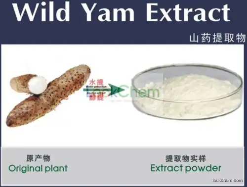 wild yam extract dioscin