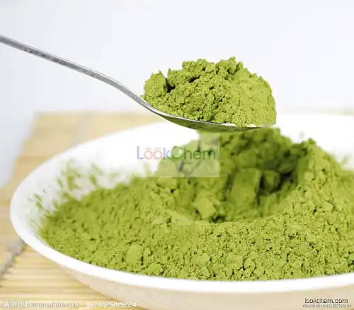 high quality Green tea extract