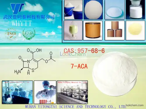 GMP factory for 7-Aminocephalosporanic acid CAS: 957-68-6