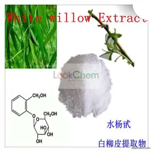 White willow Bark extract powder Salicin