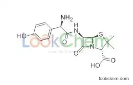 GMP manufacture for high quality API of Amoxicillin CAS: 26787-78-0