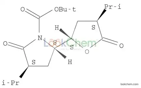 3S,5S)-3-isopropyl-5-((2S,4S)-4-isopropyl-5-oxotetrahydro-furan-2-yl)-2-oxopyrrolidine-1-carboxylic acid tert-butyl ester