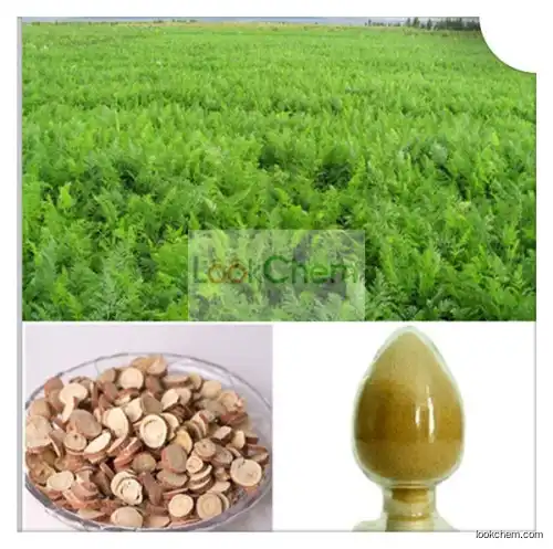 liquorice root licorice extract glabridin