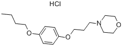 Pramoxine hydrochloride