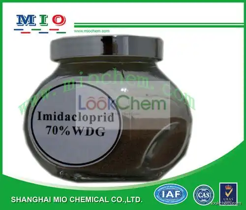 Imidacloprid 70%WDG