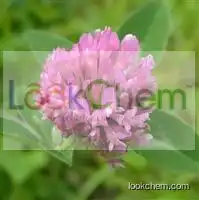 Formononetin /red clover extract