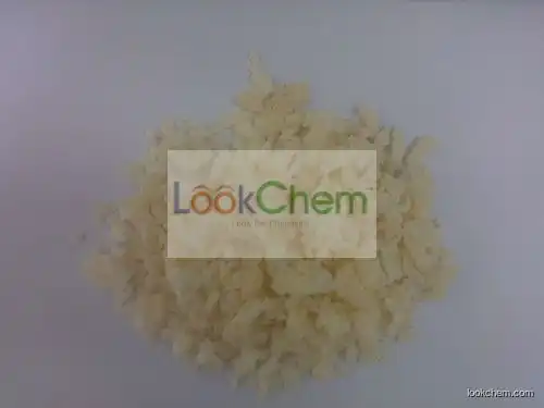 Chlorinated Ethylene-Vinyl Acetate Copolymer (CEVA)