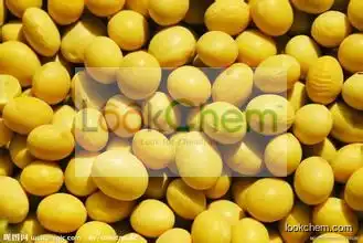 Soybean extract