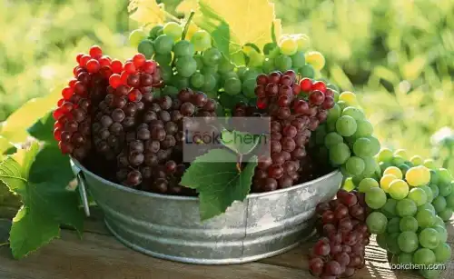Grape Seed Extract