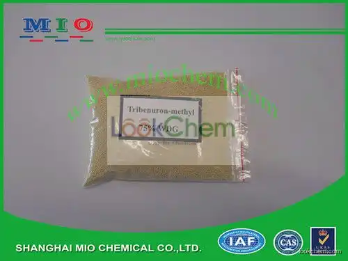 Tribenuron-methyl 75%WDG