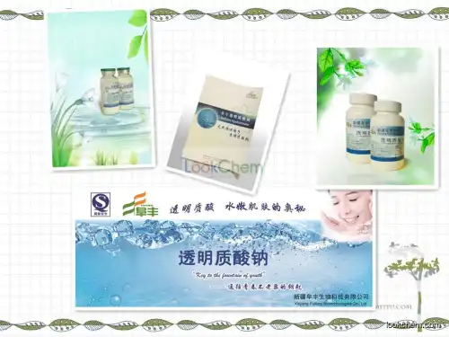 Sodium Hyaluronate, Hyaluronic Acid, natural moisturizing factor, supplement, Hydrating