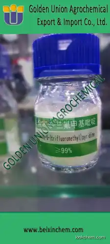 2-hydroxy-5-(trifluoromethyl)pyridine