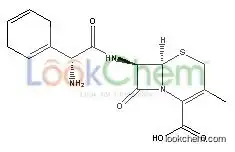 Cefradine base USP CAS NO:38821-53-3