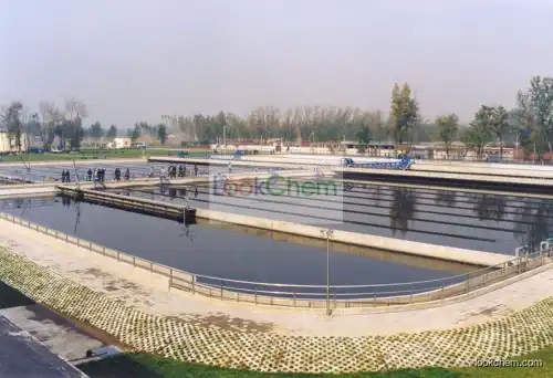 Water Treatment Anionic Polyacrylamide